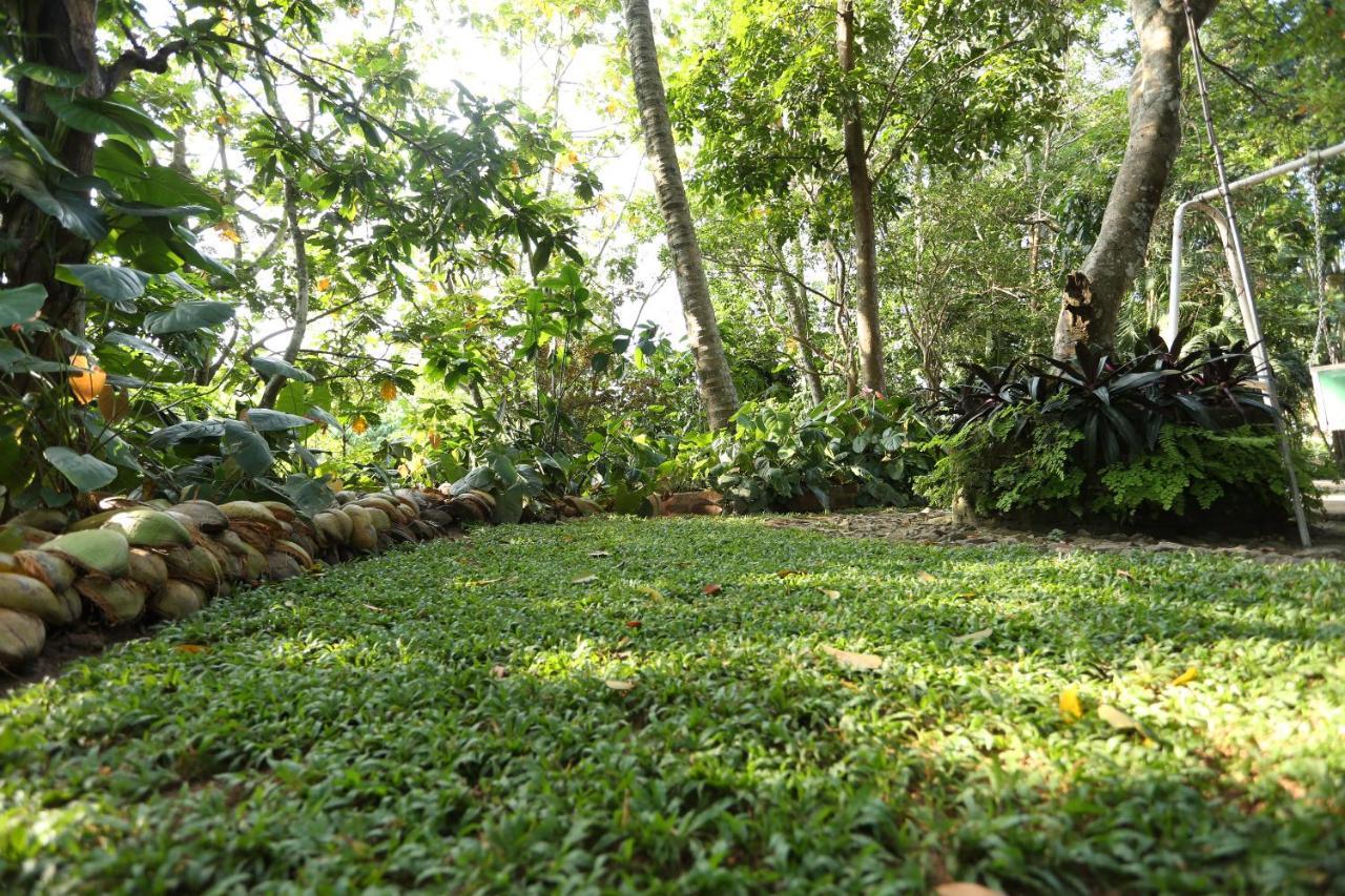 Guest house Tree Breeze Kandy