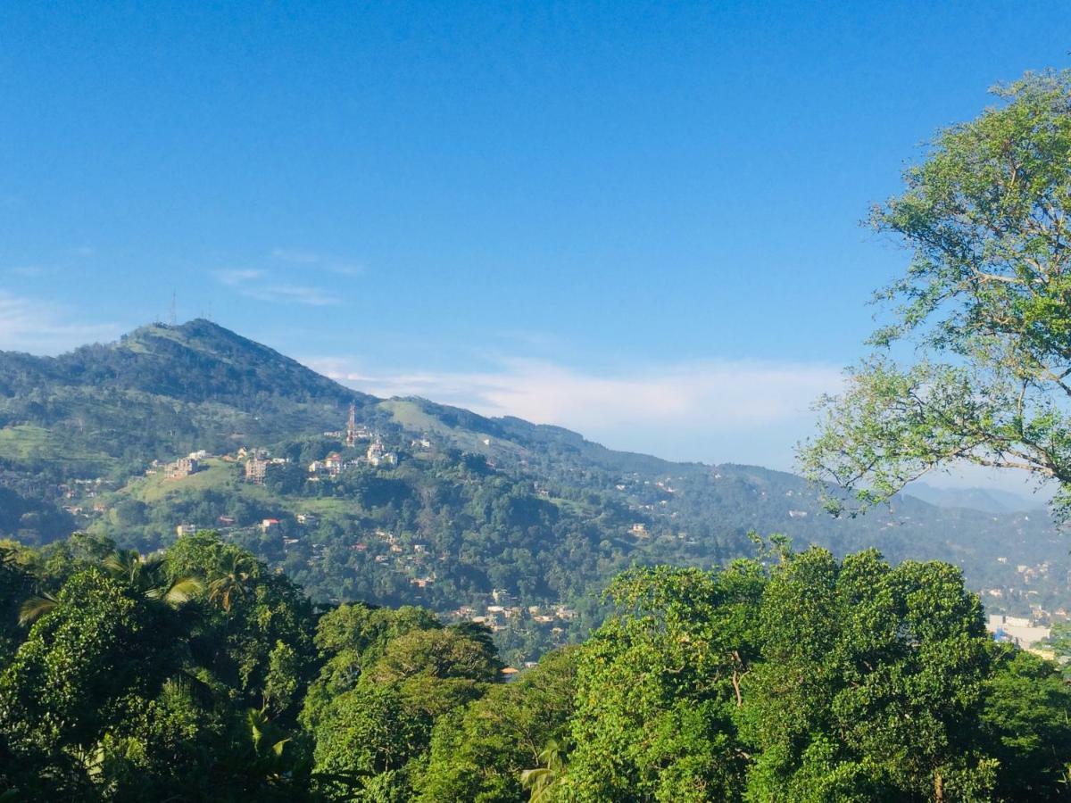 Selyna Sky Terrace Bed & Breakfast Kandy