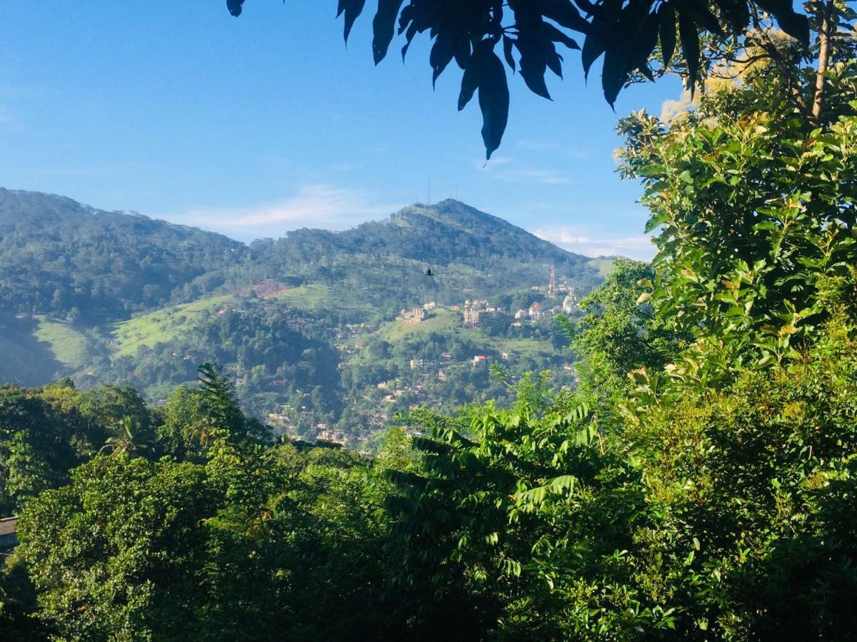 Bed & Breakfast Selyna Sky Terrace Kandy