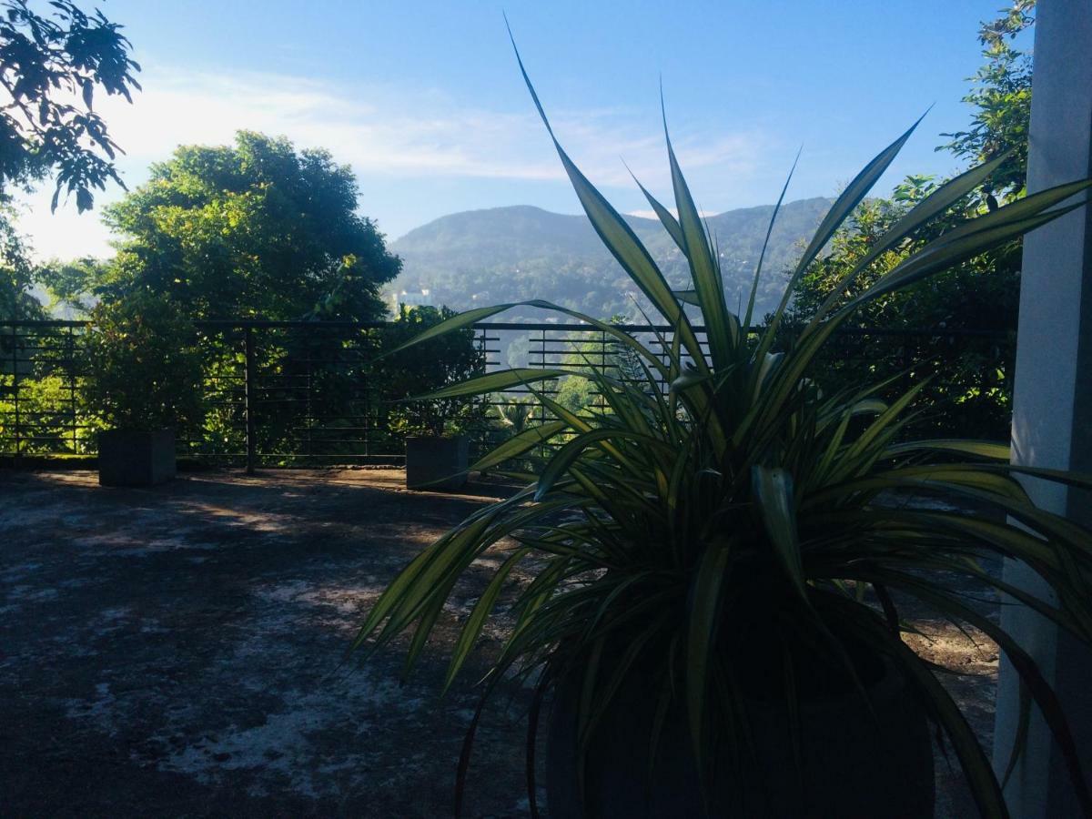 Selyna Sky Terrace Bed & Breakfast