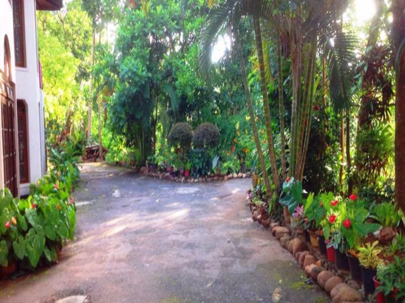 Tree Breeze Guest house 3*