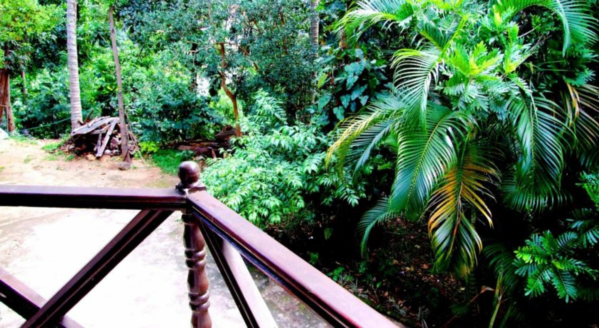 Tree Breeze Guest house Kandy