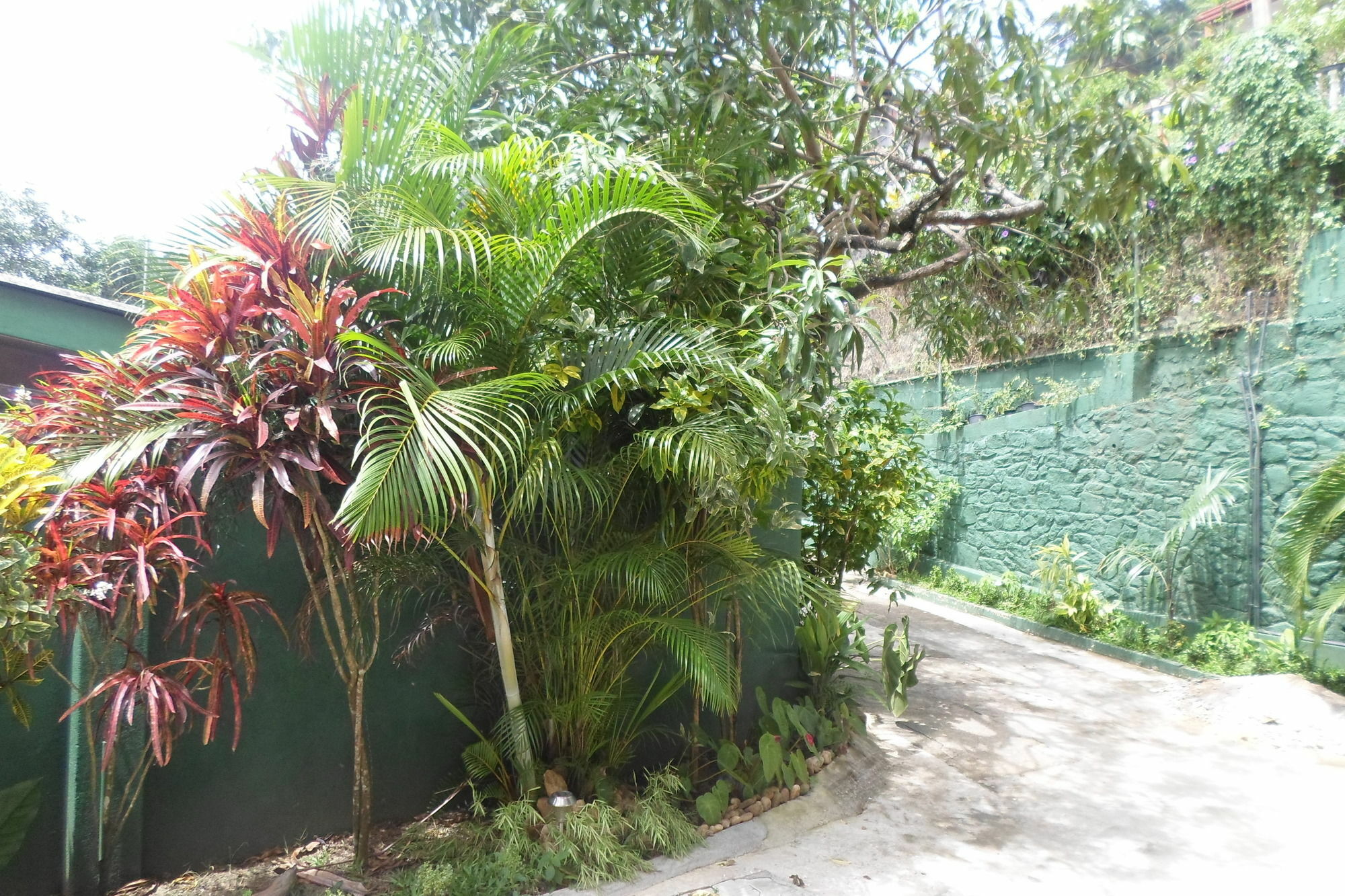 King Of Guest house
