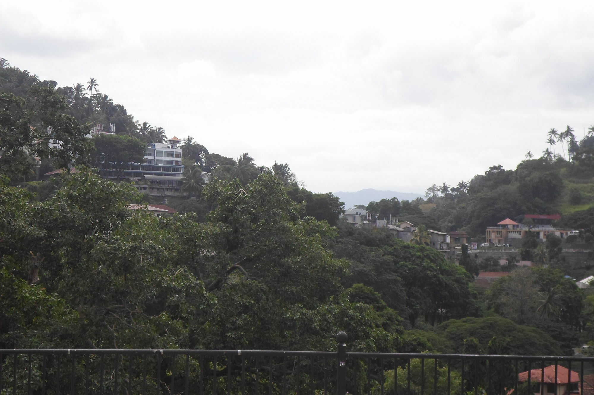 King Of Kandy