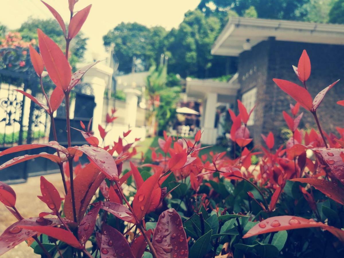 Guest house Anna Shanthi 2*