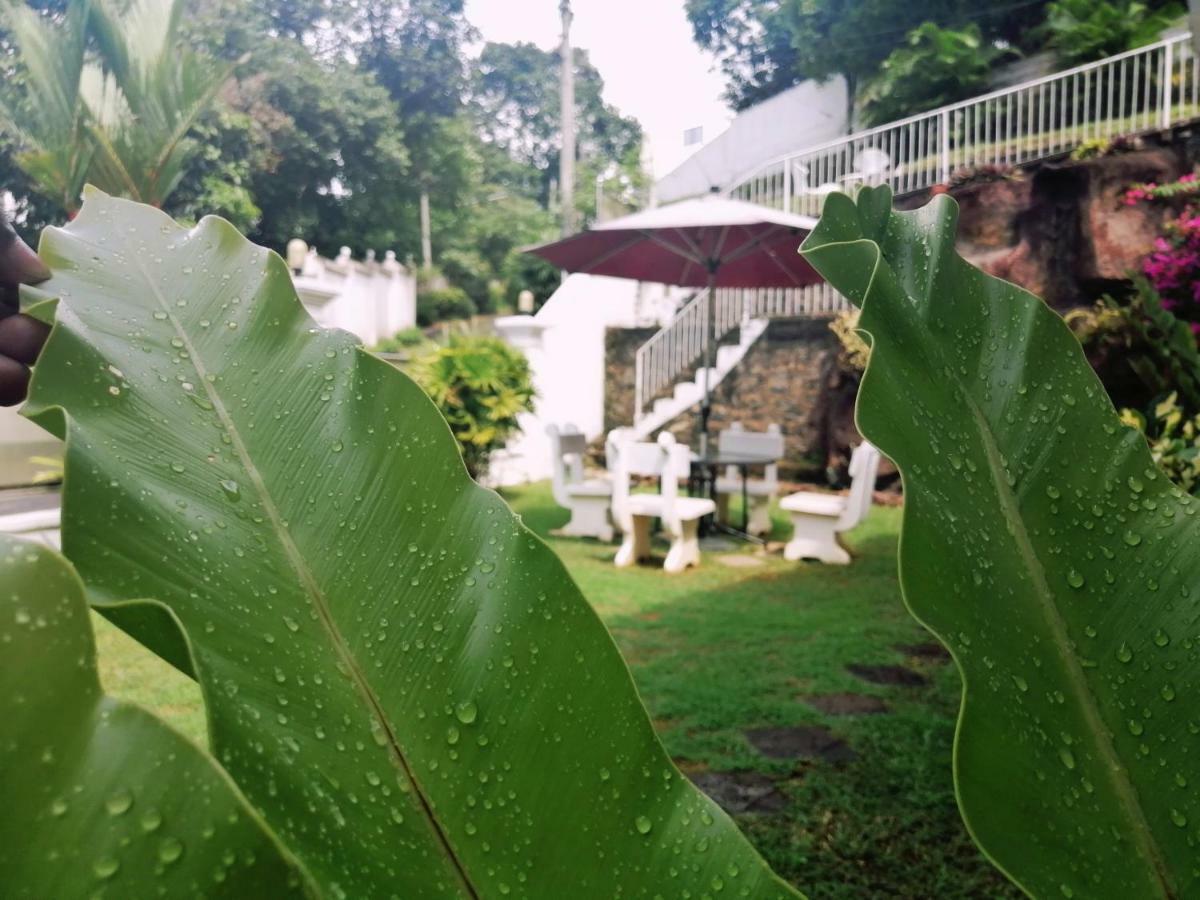 Guest house Anna Shanthi Kandy