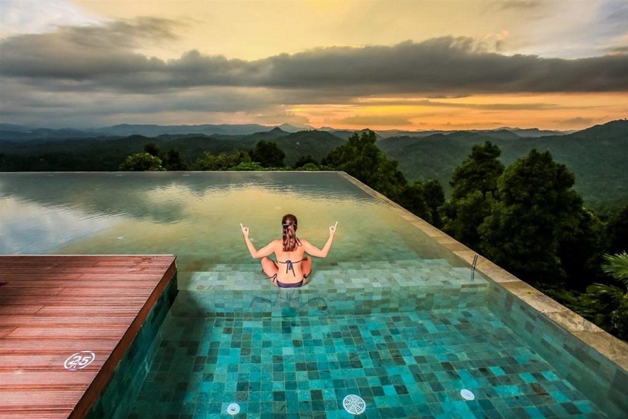 Hotel Simpson's Forest - Luxury Boutique & - 5*