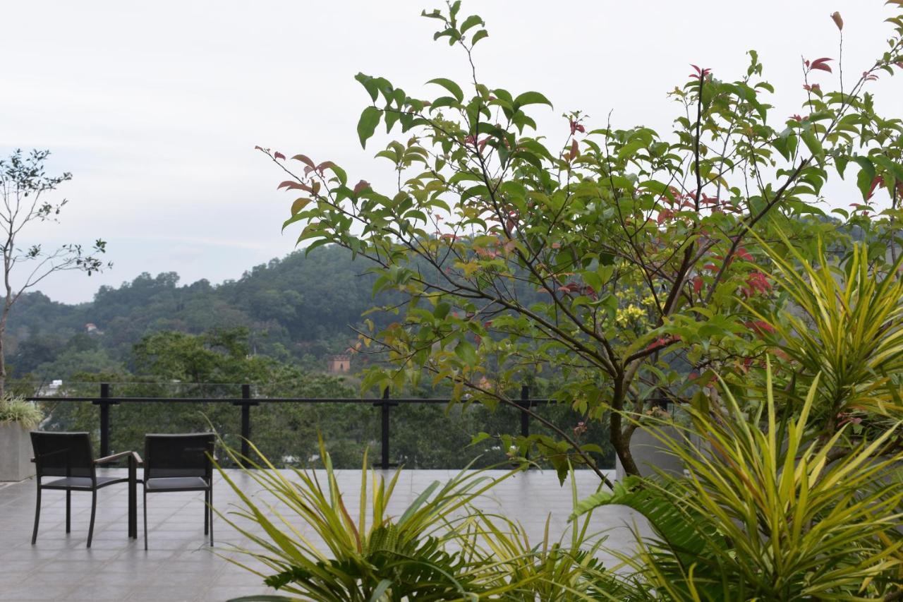 Lotus Hotel