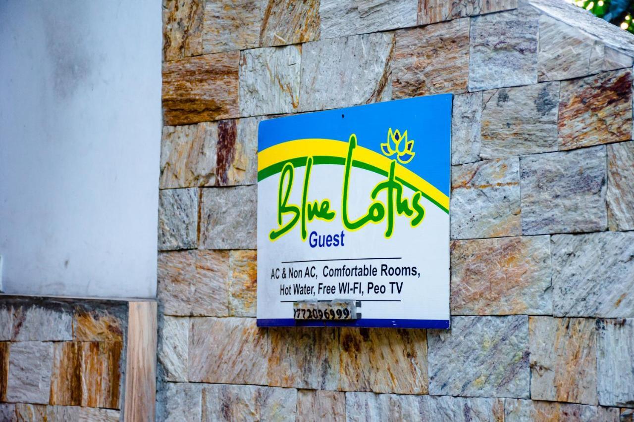 Blue Lotus * Kandy