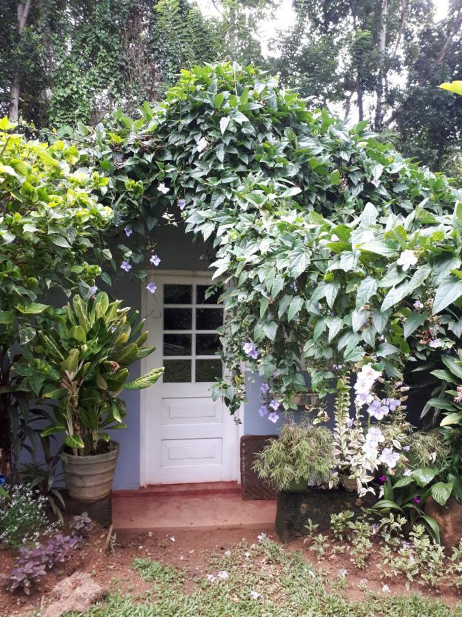 Paradise * Kandy